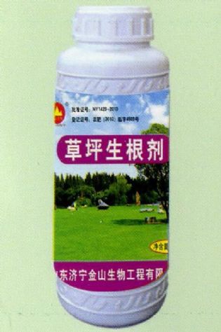 點(diǎn)擊查看詳細(xì)信息<br>標(biāo)題:草坪生根劑 閱讀次數(shù):1624