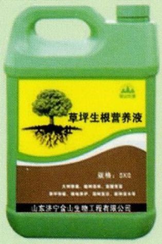 點(diǎn)擊查看詳細(xì)信息<br>標(biāo)題:草坪生根營(yíng)養(yǎng)液 閱讀次數(shù):1813