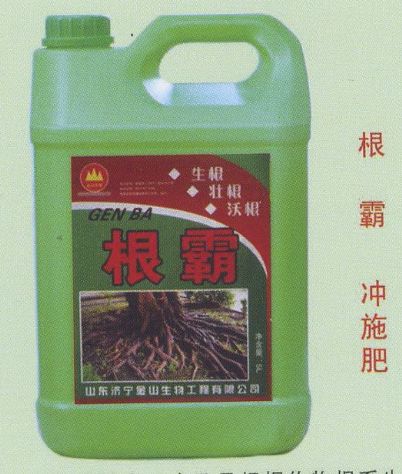 點(diǎn)擊查看詳細(xì)信息<br>標(biāo)題:根霸 沖施肥 閱讀次數(shù):3376